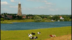 Nature Photographers