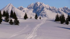 Nature Photographers