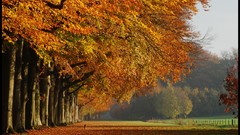 Nature Photographers two