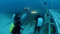 Nature photography Sharks cage