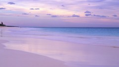 Nature pink coast dusk Beaches dreamy