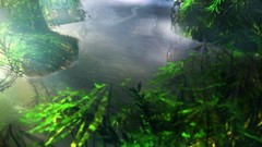 Nature planets rivers