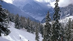 Nature planets wildlife Earth