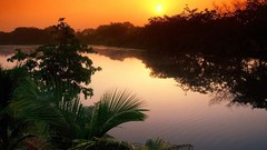 Nature planets wildlife Earth