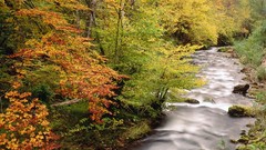 Nature planets wildlife Earth