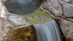 Nature planets wildlife Earth