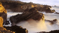 Nature planets wildlife Earth