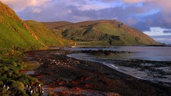 Nature planets wildlife Earth