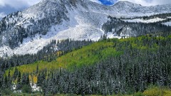 Nature planets wildlife Earth