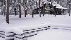 Nature planets wildlife Earth