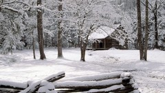 Nature planets wildlife Earth