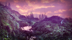 nature Plants outdoors clouds sky dirt