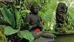 Nature Plants sculptures buddhism