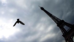 Nature point of view