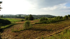 Nature Poland bieszczady