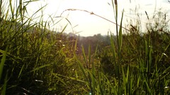 Nature Poland bieszczady