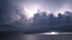 Nature pretty caribbean area