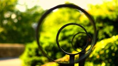 Nature railing circles depth of field