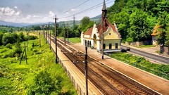 Nature railroad tracks railroads