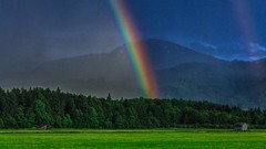 Nature rainbows
