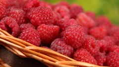 Nature raspberries baskets Berries