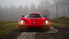 Nature red Koenigsegg mist forests