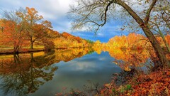 nature reflection Trees fall water landscape