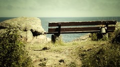 Nature retro 3d outdoors realistic