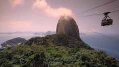Nature Rio de Janeiro Brazil
