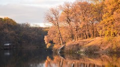 Nature rivers forests
