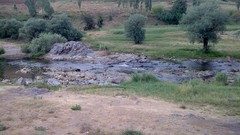 Nature rivers iran