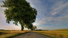 Nature roads