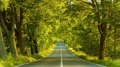 Nature roads avenue