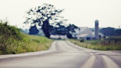 Nature roads depth of field