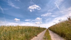 Nature roads fields skies
