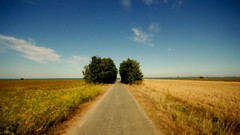 Nature roads fields streets