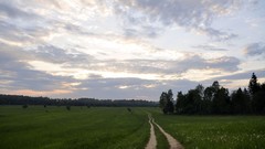Nature roads forests