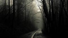 Nature roads Greg Martin monochrome forests