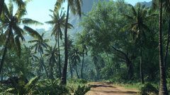 Nature roads palm trees