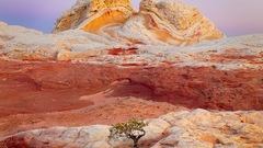 Nature rocks Arizona