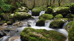 Nature rocks waterfalls