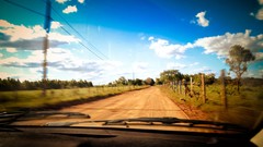 Nature roses cars roads