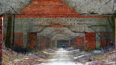 Nature ruins streets lonely