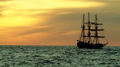 Nature sail ship