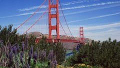 Nature San Francisco golden gate bridge