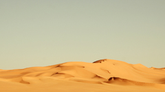 Nature sand desert