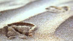 Nature sand macro