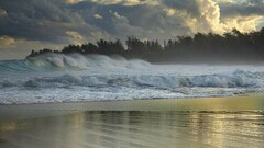 nature Sea beach waves clouds Trees outdoors sky storm