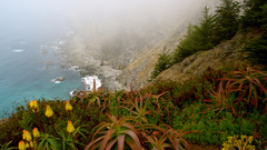 Nature Sea shore cliffs