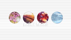 Nature seasons artwork